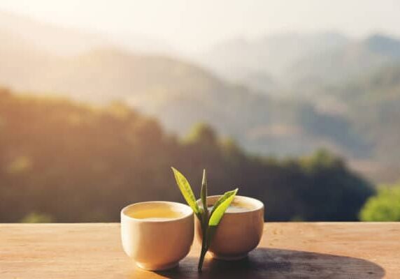 Dos tazas con hojas de té en la mesa sobre el paisaje montañoso con luz solar. Fondo de naturaleza de belleza.